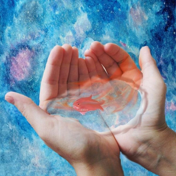 Вода в ладонях