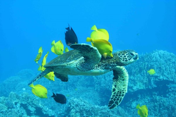 Национальный морской парк Закинфа