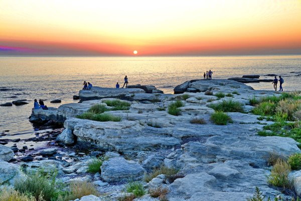 Каспийское море фауна Каспийского моря