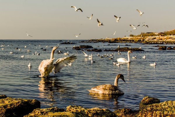 Каспийское море Актау