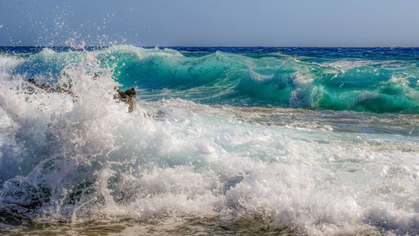 Черное море Абхазия Прибой