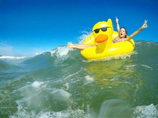 Котик в отпуске