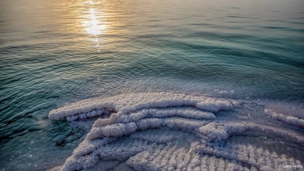 Мертвое море (Dead Sea)