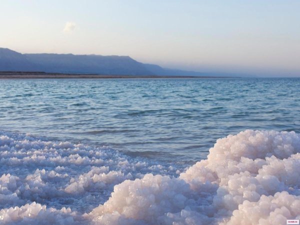 Море соль