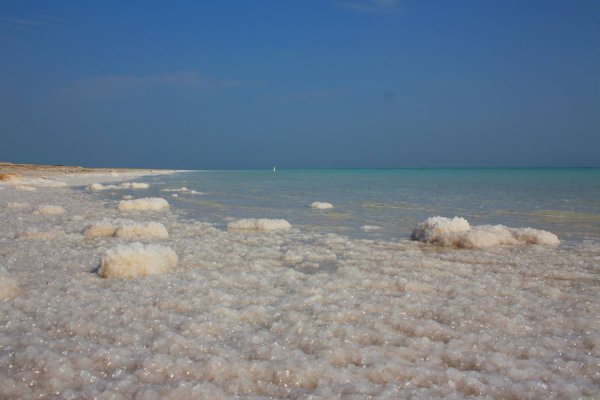 Берег соленого моря