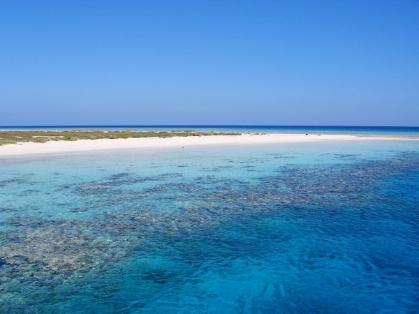 Красное море