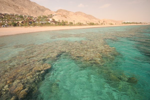 Эйлат Израиль море