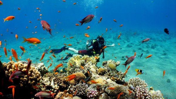 Красное море