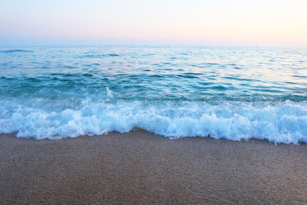 Leo Wu Песчаное море