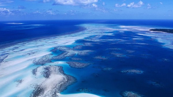 Самое глубокое море мирового океана