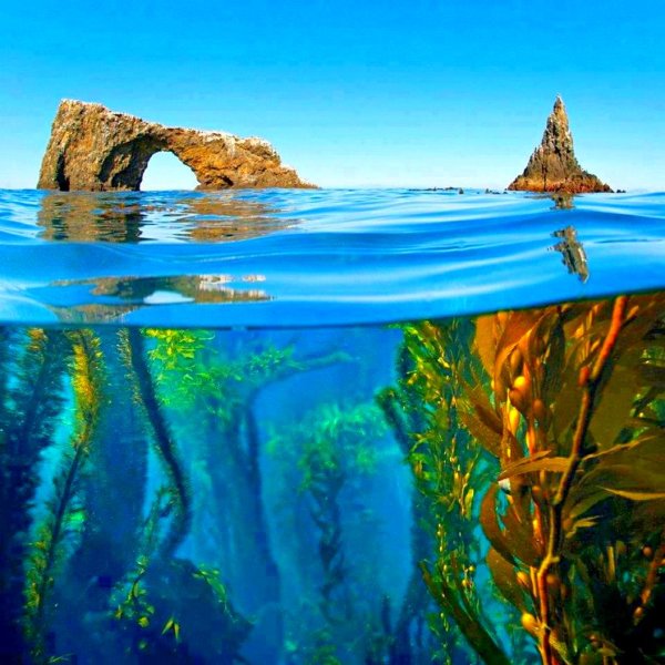 Карта Тихого океана географическая