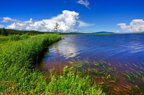 Берег озера