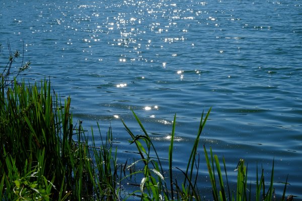 Вода озеро