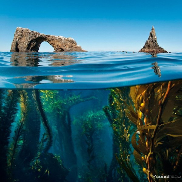 Прозрачное море