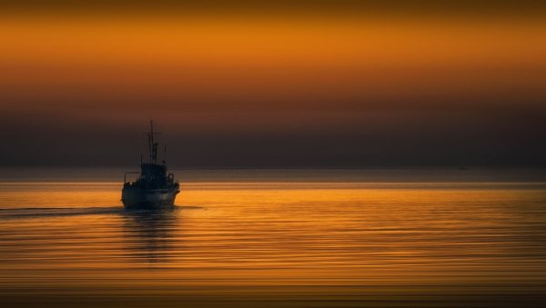 Биче Сениэль и фрези Грант