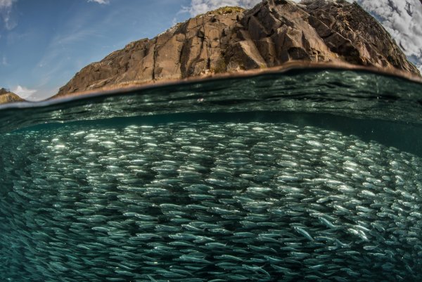 Карибское море голубая Лагуна
