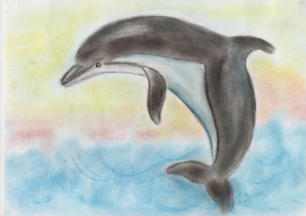 Берег раскраска