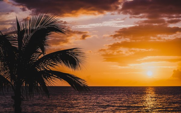 Морской закат