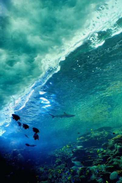 Закат на море