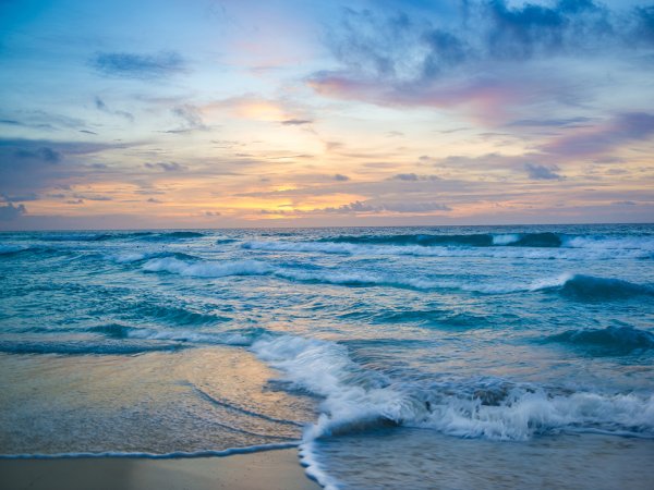 Море пляж пальмы