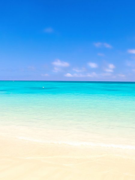 Парусник в море