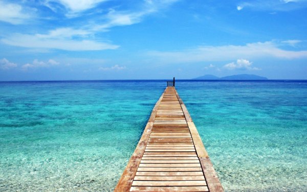 Пляж с пальмами