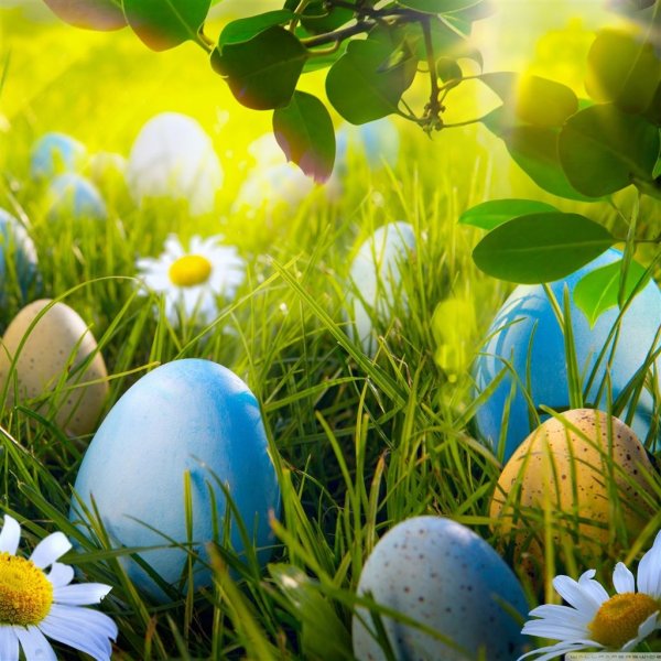 Берег океана