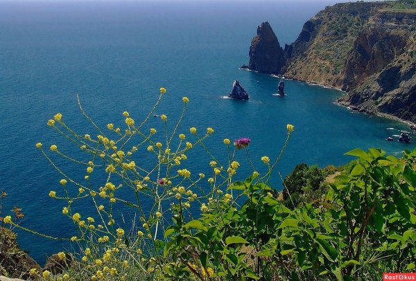 Южный берег Крыма мыс Фиолент