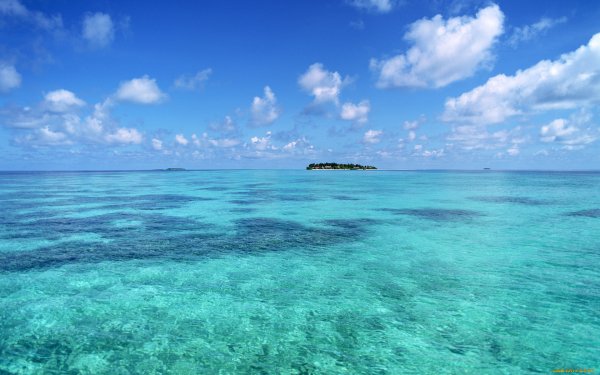 Море сохраненки