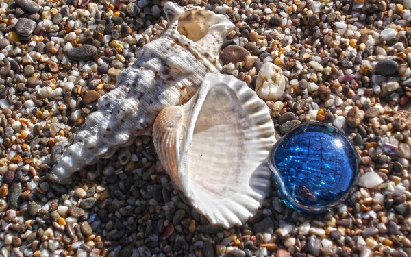 Голубицкая ракушечный пляж