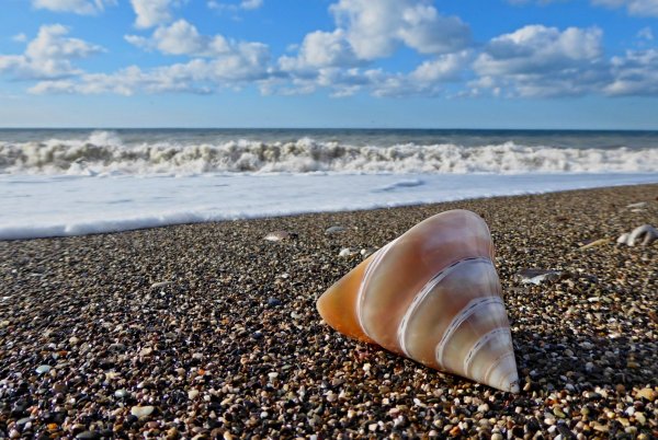 Подводные пейзажи