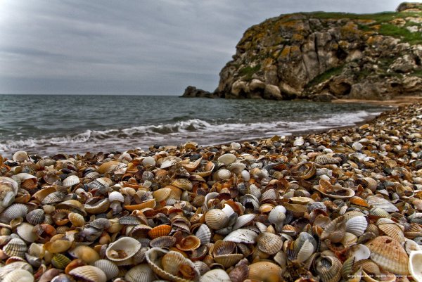 Парусник в океане