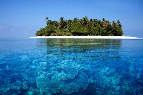 Барьерный риф Мальдивы