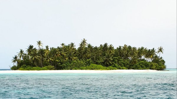 Берег необитаемого острова