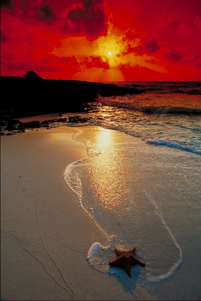 Сердце руками на закате