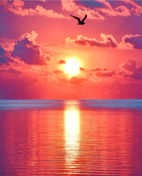 В сердце моря