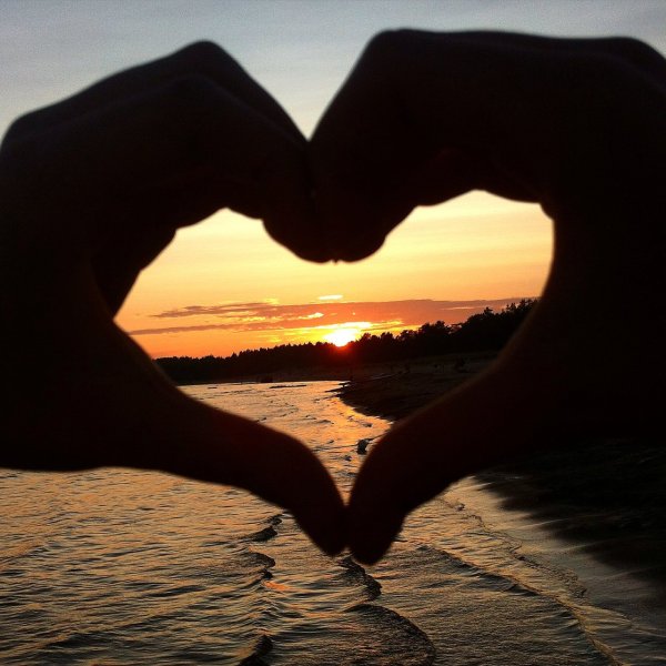 В сердце моря