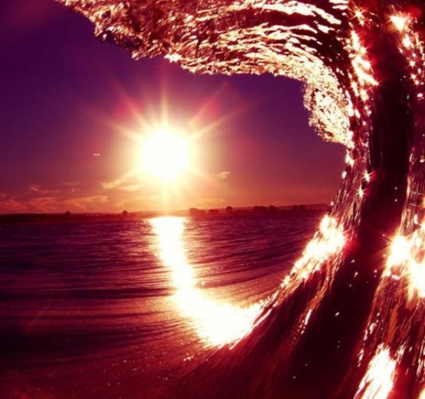 Море пальмы любовь