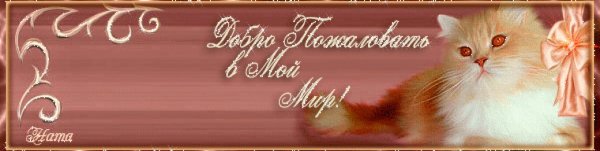 Любимый человек таблетка счастья