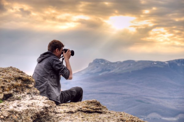 Ромашки в солнечных лучах