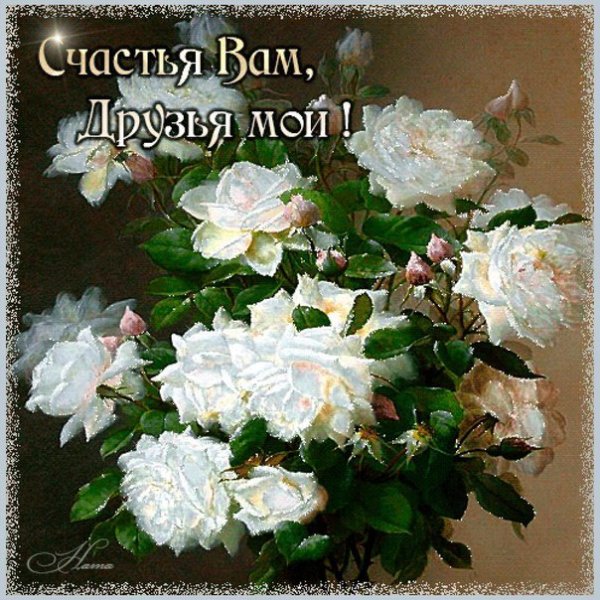 Человечество и природа