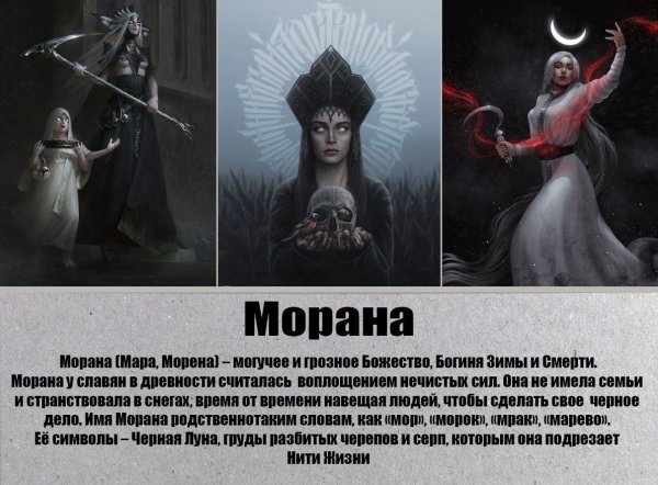 Аарон Лия Арден