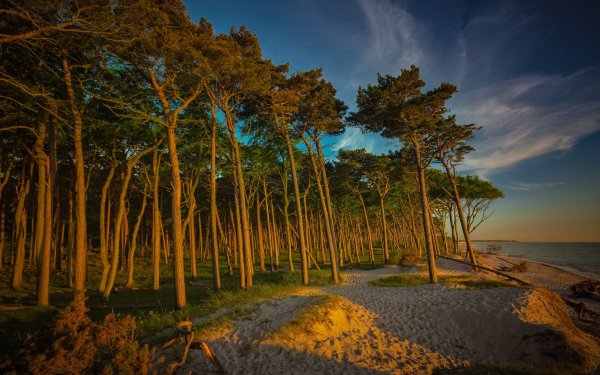 Tunnels Beach, Гавайи