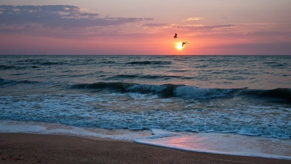 Азовское море