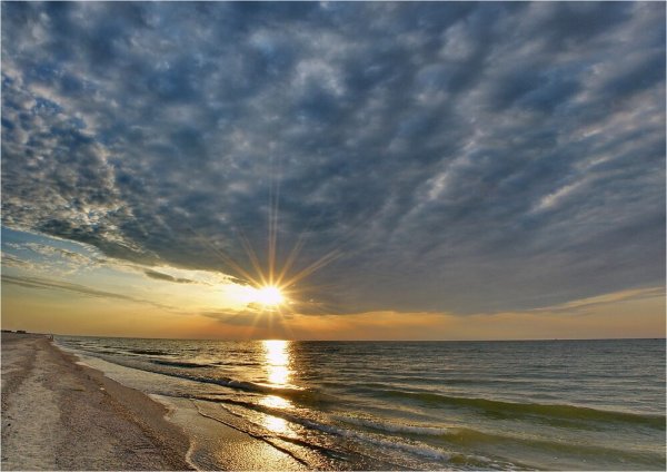 Азовское море виды
