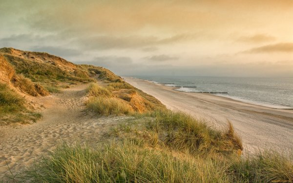 Голубицкая коса