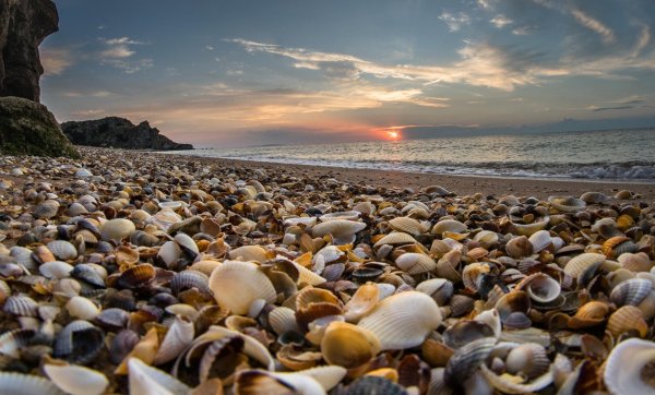 Азов ракушечный пляж