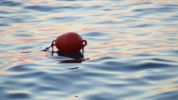 Буйки на воде