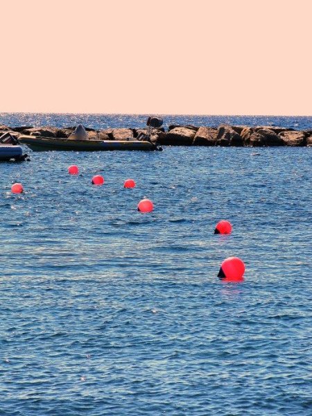 Бакен морской