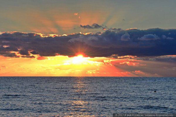 Дети на черном море